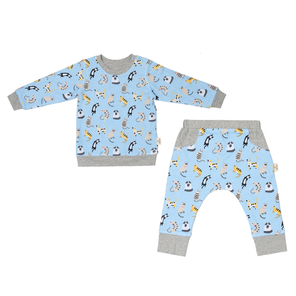 Funny Cats Reversible Jumper Pants Set