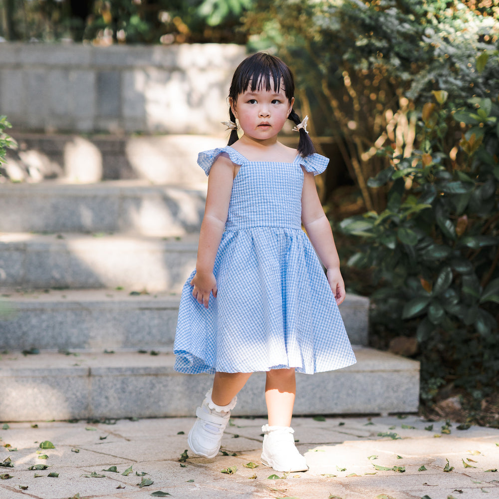 Little Girl's Blue Gingham Flutter Sleeve Dress
